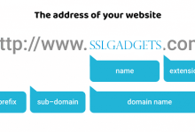 IP Adress & Domain Name & DNS-SSL Gadgets
